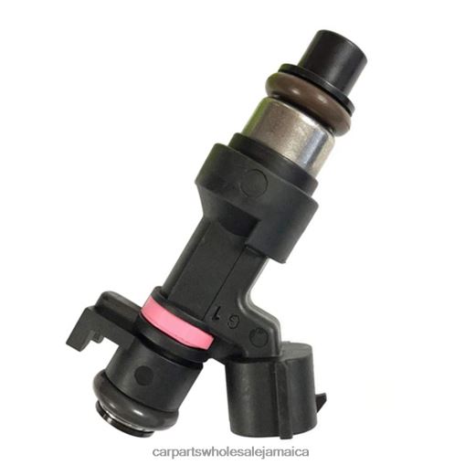 Car Parts Montego Bay N62XF95 166006863R Fuel Injector RENAULT