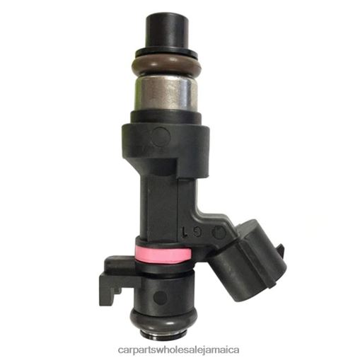 Car Parts Montego Bay N62XF95 166006863R Fuel Injector RENAULT