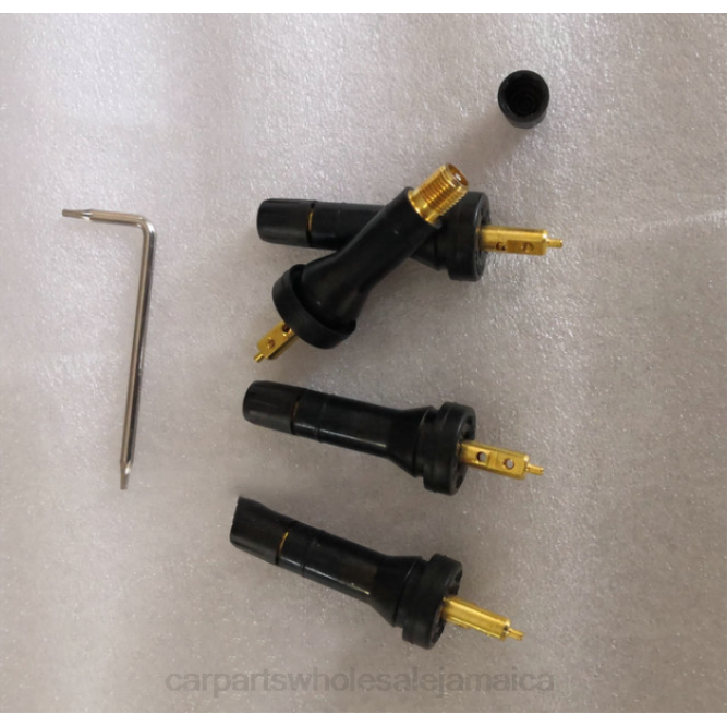 Automotive Parts Wholesale Distributor J2682595 TPMS Rongwei Tire Pressure Sensor 10718213